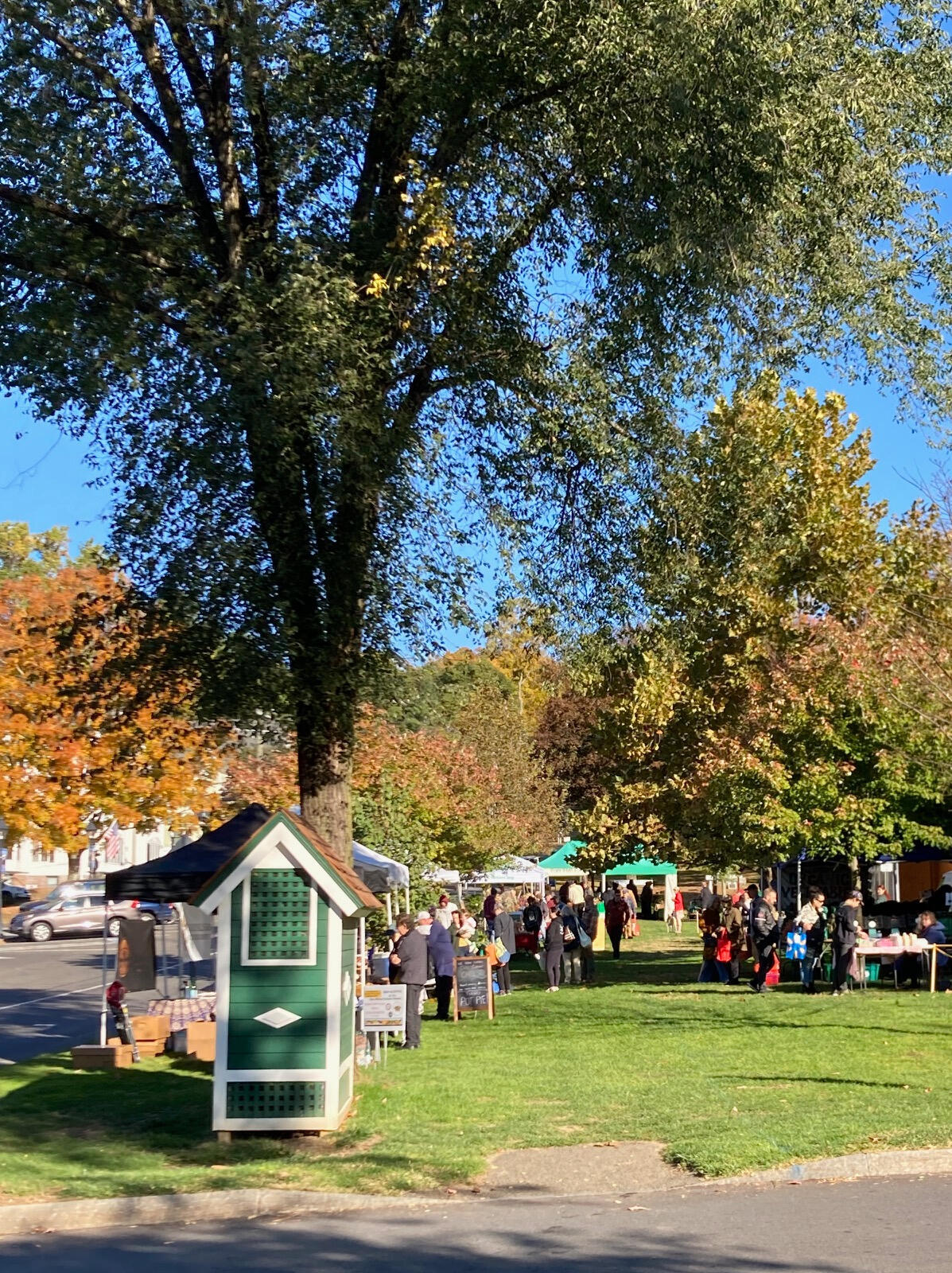 Weekly farmer's market on the New Milford, CT Town Green Farmer's Market on New Milford Green
